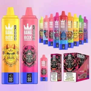 Bang Box 20000 Puffs