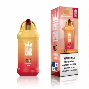 Bang King 12000 (Doos van 10) - wegwerp vape kopen