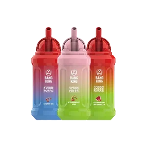 Bang King 12000 Puffs Disposable Vape Box Of 10