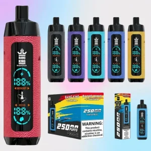 Bang King E-Shisha 25000 Puffs