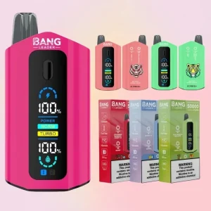 Bang Leader 50000 Puffs