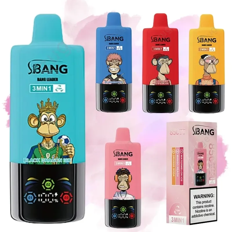 Bang Leader 85000 Puffs