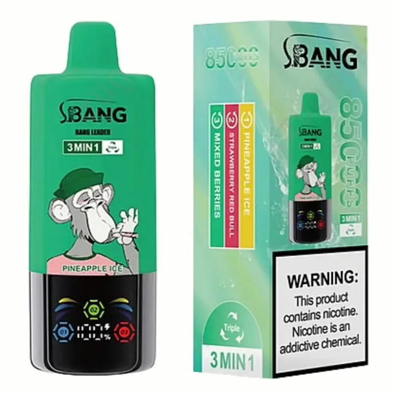Bang Leader 85000 Puffs - Image 2