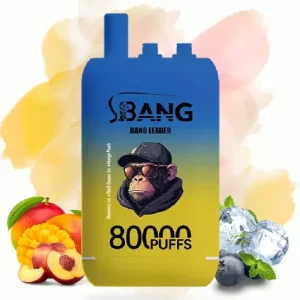 Bang Leader Blueberry Ice & Black Dragon Ice& Mango Peach smaak