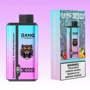 Bang Leader Blueberry Raspberry & Peach Mango Watermelon smaak