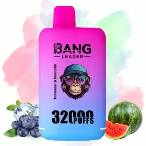 Bang Leader Watermelon lce & Blueberry Mint smaak