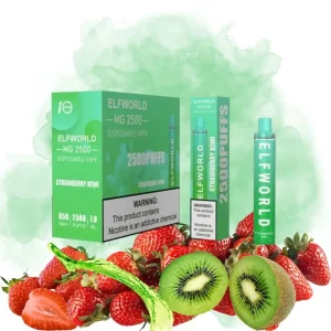 Elfworld Strawberry Kiwi smaak