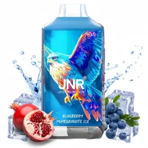 JNR Blueberry Pomegranate Ice smaak