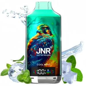 JNR Cool Mint Vape
