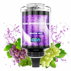 JNR Grape Mint smaak