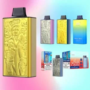 JNR Mega Box 25000 Puffs