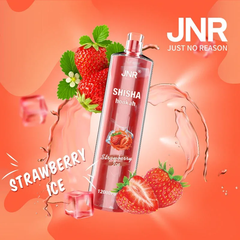 JNR Shisha Hookah 12000 (Doos van 10) - Image 2