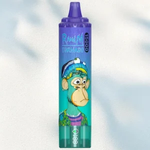 RandM Blueberry On Ice smaak