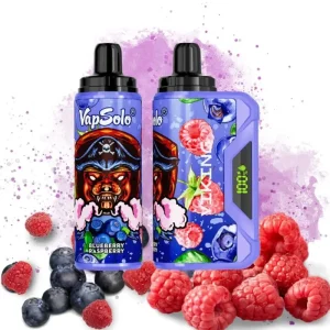 VapSolo Blueberry Raspberry Vape