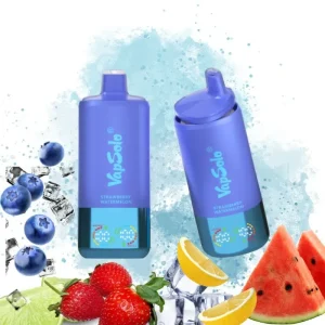 Vapsolo Lemon Lime & Strawberry Watermelon & Blueberry Ice smaak