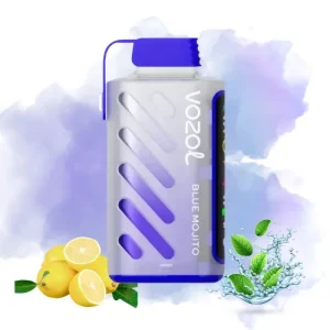 Vozol Blue Mojito smaak