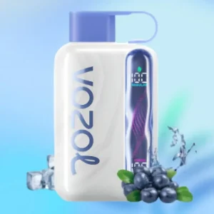 Vozol Blueberry Ice Vape