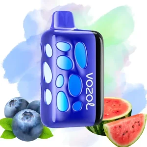 Vozol Blueberry Watermelon smaak