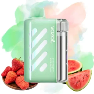 Vozol Strawberry Watermelon Vape