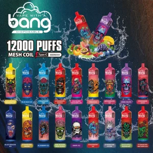 Wegwerp E-sigaret Bang 12000 Puffs Vape
