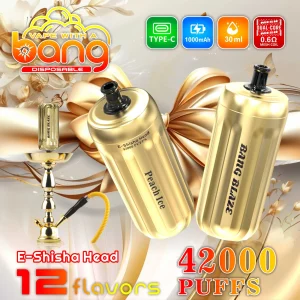 Wegwerp E sigaret Bang Blaze 42000 Puffs E-Shisha Head Vape