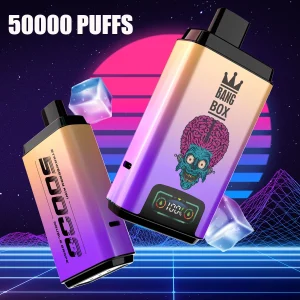 Wegwerp E Sigaret Bang Box 50000 Puffs Vape Dubbele Smaak