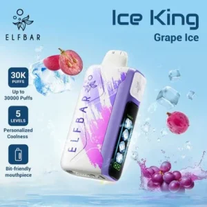 Wegwerp E Sigaret Elf Bar Ice King 30000 Puffs Vape