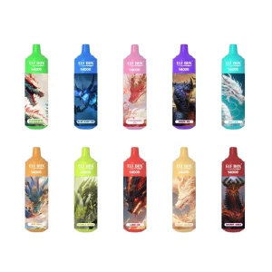 Wegwerp E-sigaret ELF BOX 14000 Puffs Vape