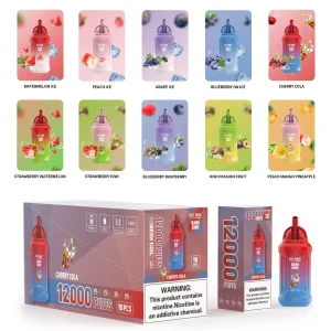 Wegwerp E-sigaret ELF BOX Bang King 12000 Puffs Vape