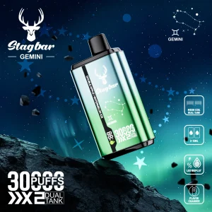 Wegwerp E Sigaret Stag Bar Gemini 30000 Puffs Vape Dubbele Smaak