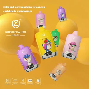 Wegwerp E Sigaret UZY Bang Digital 15000 Puffs Vape