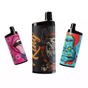 Wegwerp E sigaret Vapsolo King 10000 Puffs Vape