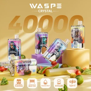 Wegwerp E sigaret WASPE Crystal 40000 Puffs Vape Dubbele Smaak
